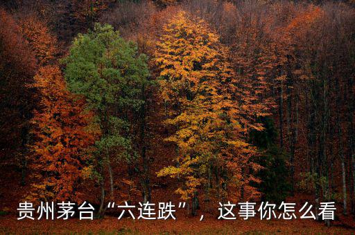 貴州茅臺(tái)“六連跌”，這事你怎么看