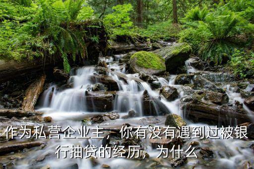 作為私營企業(yè)主，你有沒有遇到過被銀行抽貸的經(jīng)歷，為什么