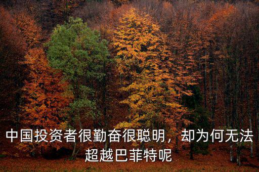 中國(guó)投資者很勤奮很聰明，卻為何無(wú)法超越巴菲特呢
