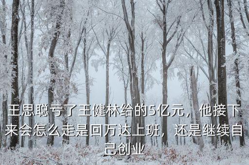 王思聰虧了王健林給的5億元，他接下來會怎么走是回萬達上班，還是繼續(xù)自己創(chuàng)業(yè)