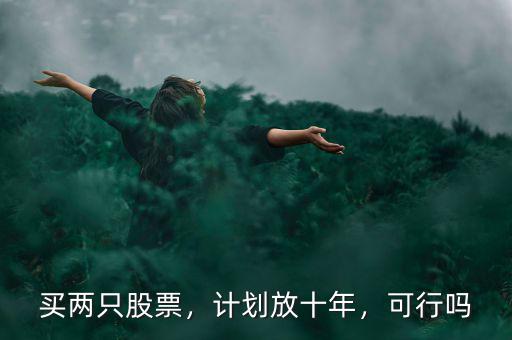 買(mǎi)兩只股票，計(jì)劃放十年，可行嗎