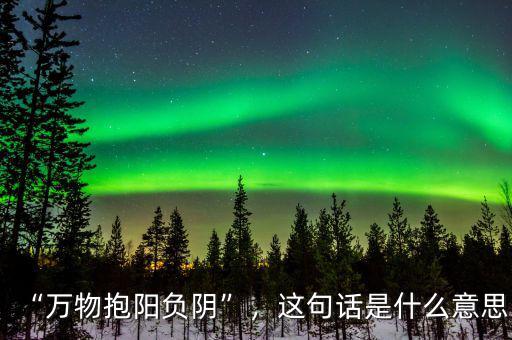 “萬物抱陽負陰”，這句話是什么意思