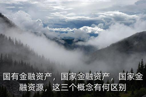 國有金融資產(chǎn)，國家金融資產(chǎn)，國家金融資源，這三個概念有何區(qū)別