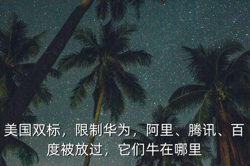 美國雙標，限制華為，阿里、騰訊、百度被放過，它們牛在哪里