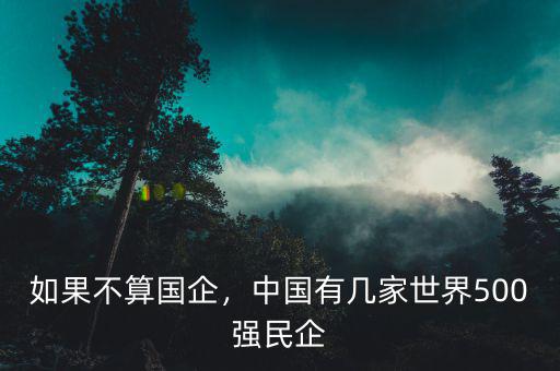 如果不算國(guó)企，中國(guó)有幾家世界500強(qiáng)民企