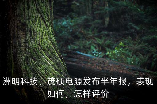 洲明科技、茂碩電源發(fā)布半年報，表現(xiàn)如何，怎樣評價