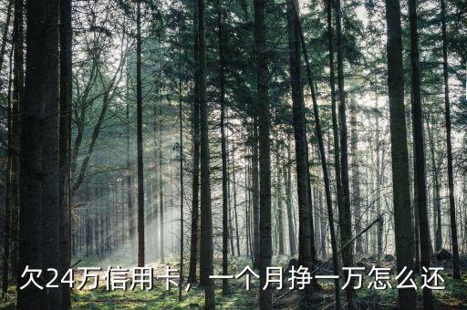 欠24萬(wàn)信用卡，一個(gè)月掙一萬(wàn)怎么還