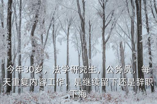 今年30歲，法學(xué)研究生，公務(wù)員，每天重復(fù)內(nèi)容工作，是繼續(xù)留下還是辭職下海