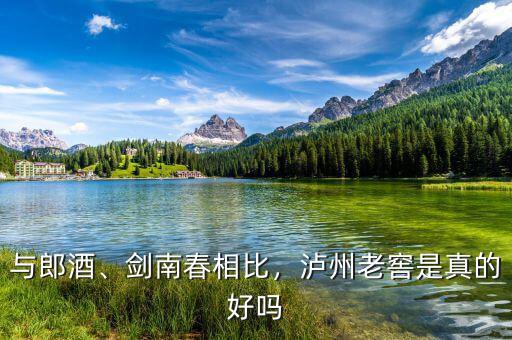 與郎酒、劍南春相比，瀘州老窖是真的好嗎