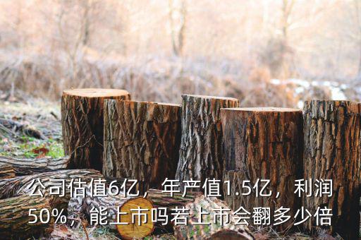 公司估值6億，年產(chǎn)值1.5億，利潤50%，能上市嗎若上市會翻多少倍
