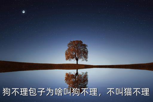 狗不理包子為啥叫狗不理，不叫貓不理