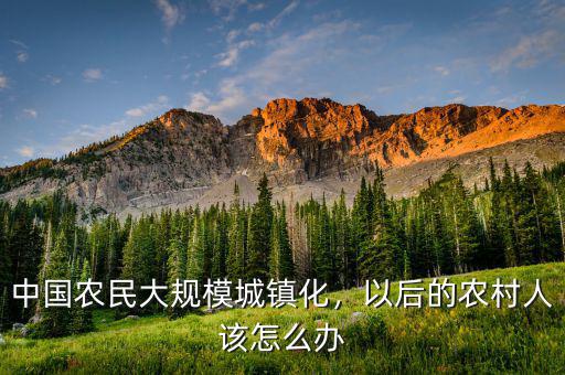 中國農(nóng)民大規(guī)模城鎮(zhèn)化，以后的農(nóng)村人該怎么辦