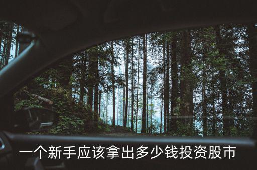 一個(gè)新手應(yīng)該拿出多少錢(qián)投資股市