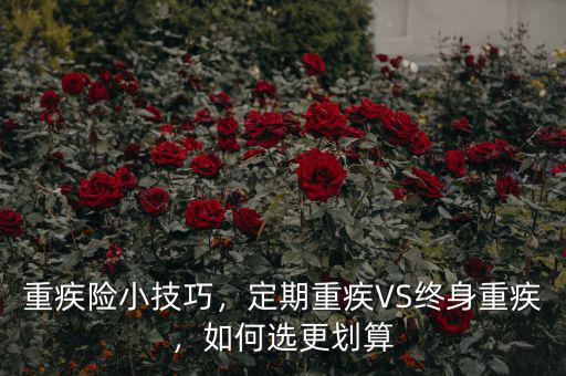 重疾險小技巧，定期重疾VS終身重疾，如何選更劃算