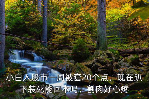 股票被套30個點(diǎn)怎么辦,炒股買了一支被套了十個點(diǎn)