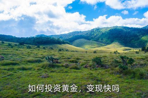 如何投資黃金，變現(xiàn)快嗎