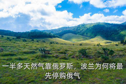 一半多天然氣靠俄羅斯，波蘭為何將最先停購俄氣