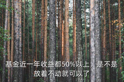 基金近一年收益都50%以上，是不是放著不動就可以了