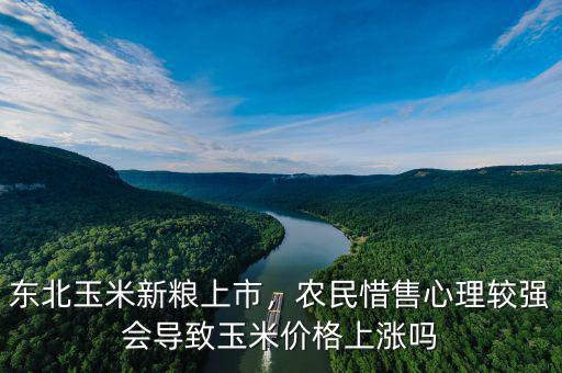 東北玉米新糧上市，農(nóng)民惜售心理較強(qiáng)會(huì)導(dǎo)致玉米價(jià)格上漲嗎