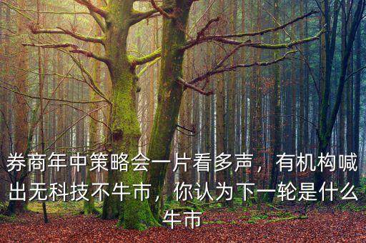 券商年中策略會(huì)一片看多聲，有機(jī)構(gòu)喊出無(wú)科技不牛市，你認(rèn)為下一輪是什么牛市