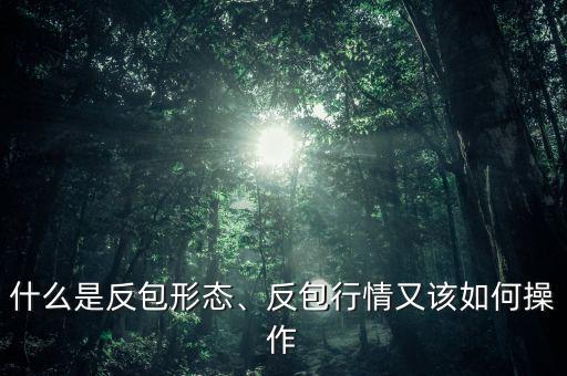 什么是反包形態(tài)、反包行情又該如何操作