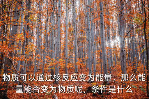 物質(zhì)可以通過核反應(yīng)變?yōu)槟芰?，那么能量能否變?yōu)槲镔|(zhì)呢，條件是什么