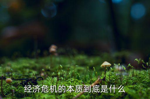 經(jīng)濟(jì)危機(jī)從什么時(shí)候開始,美國(guó)什么時(shí)候出現(xiàn)經(jīng)濟(jì)危機(jī)