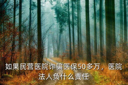 如果民營醫(yī)院詐騙醫(yī)保50多萬，醫(yī)院法人負(fù)什么責(zé)任