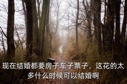 現(xiàn)在結(jié)婚都要房子車子票子，這花的太多什么時(shí)候可以結(jié)婚啊