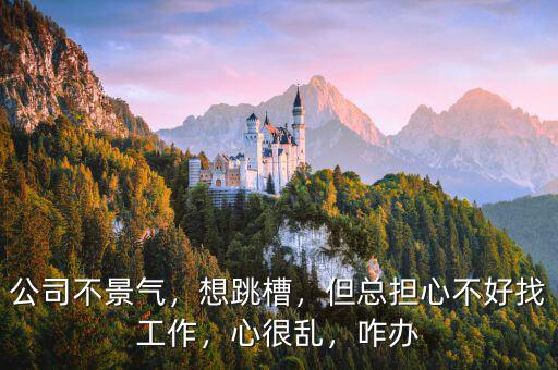 公司不景氣，想跳槽，但總擔(dān)心不好找工作，心很亂，咋辦