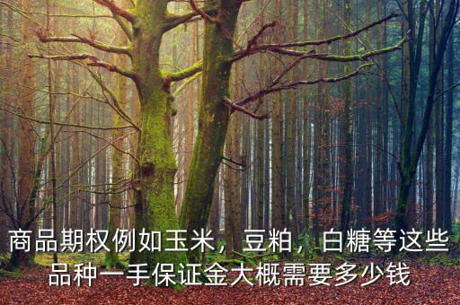 商品期權(quán)例如玉米，豆粕，白糖等這些品種一手保證金大概需要多少錢
