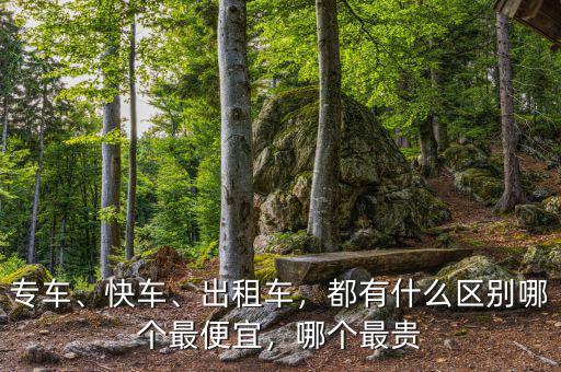 專車、快車、出租車，都有什么區(qū)別哪個最便宜，哪個最貴