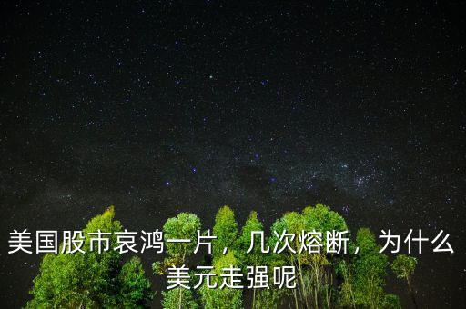 美國(guó)股市哀鴻一片，幾次熔斷，為什么美元走強(qiáng)呢