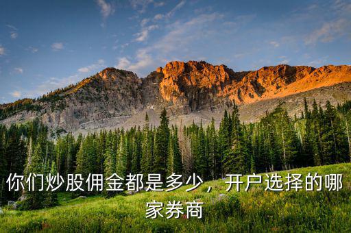 你們炒股傭金都是多少，開(kāi)戶選擇的哪家券商