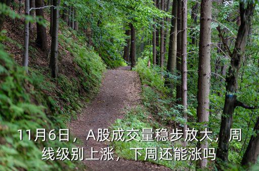 11月6日，A股成交量穩(wěn)步放大，周線級別上漲，下周還能漲嗎