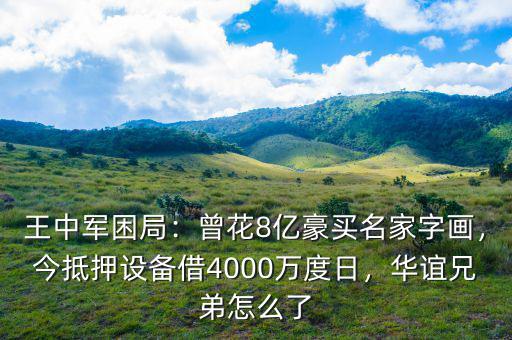 王中軍困局：曾花8億豪買(mǎi)名家字畫(huà)，今抵押設(shè)備借4000萬(wàn)度日，華誼兄弟怎么了