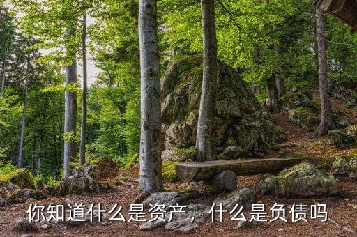 你知道什么是資產(chǎn)，什么是負(fù)債嗎