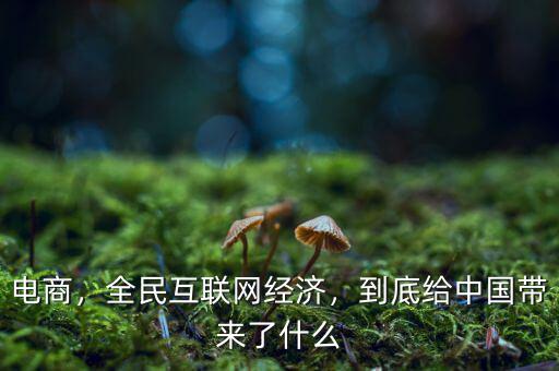 電商，全民互聯(lián)網(wǎng)經(jīng)濟(jì)，到底給中國(guó)帶來(lái)了什么