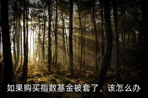如果購(gòu)買(mǎi)指數(shù)基金被套了，該怎么辦