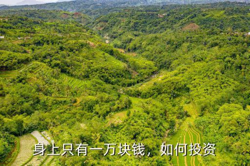 身上只有一萬塊錢，如何投資