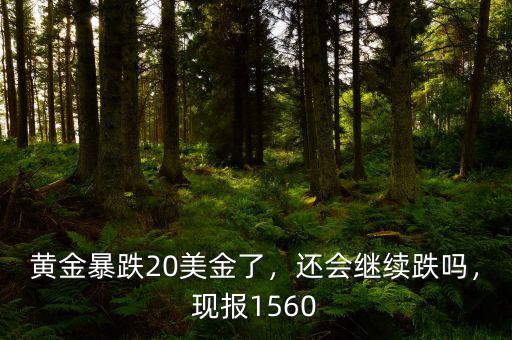 黃金暴跌20美金了，還會繼續(xù)跌嗎，現(xiàn)報1560