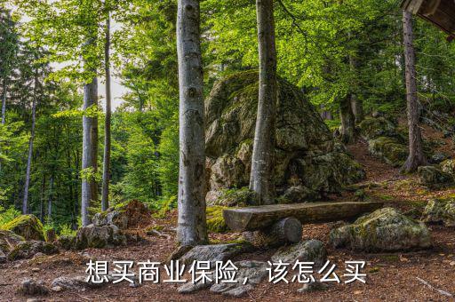 想買商業(yè)保險(xiǎn)，該怎么買