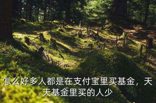 怎么好多人都是在支付寶里買基金，天天基金里買的人少