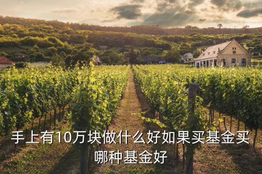 手上有10萬(wàn)塊做什么好如果買(mǎi)基金買(mǎi)哪種基金好