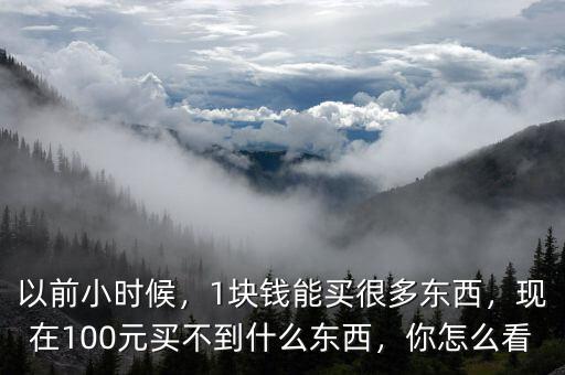 以前小時(shí)候，1塊錢能買很多東西，現(xiàn)在100元買不到什么東西，你怎么看