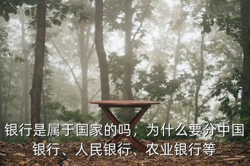 銀行是屬于國家的嗎，為什么要分中國銀行、人民銀行、農(nóng)業(yè)銀行等