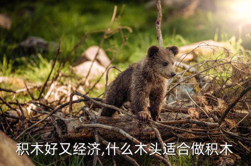什么積木好又經濟,什么木頭適合做積木