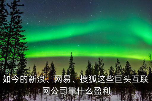 如今的新浪、網(wǎng)易、搜狐這些巨頭互聯(lián)網(wǎng)公司靠什么盈利
