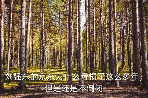 劉強(qiáng)東的京東為什么虧損了這么多年，但是還是不倒閉