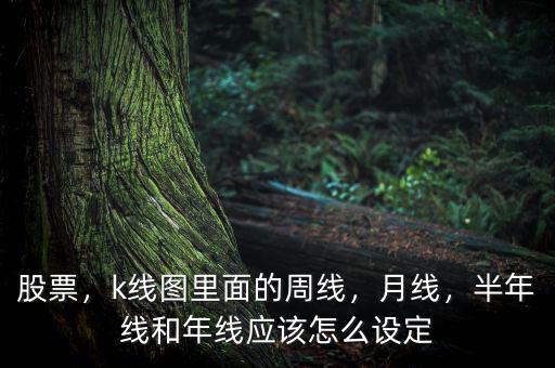 股票，k線圖里面的周線，月線，半年線和年線應(yīng)該怎么設(shè)定